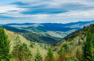 Mountains in Sevierville, TN