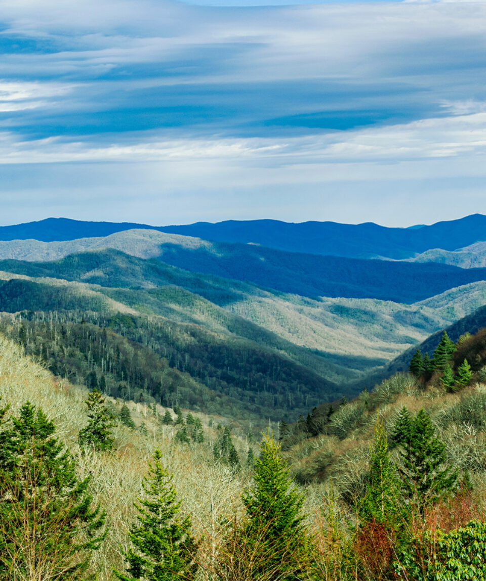 Mountains in Sevierville, TN