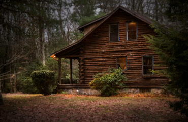 Brown Cabin in the Woods on Daytime