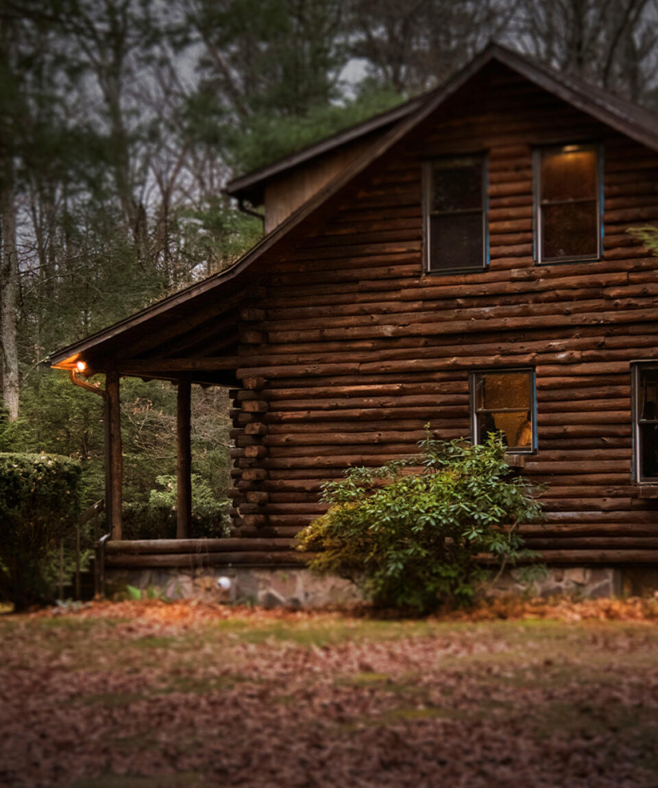 Brown Cabin in the Woods on Daytime